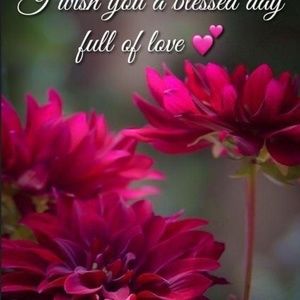 Meet your Posher, Kiran